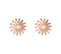 Grav Bloom Arany 14K Fülbevaló