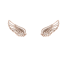Grav Angel Wings Arany 14K Fülbevaló