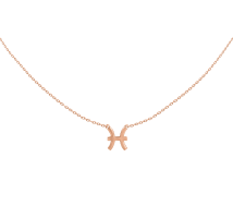 Grav Horoscope Arany 14K Nyaklánc